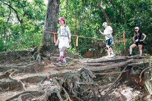 BIB: 
                            <button type="button" onclick="openModal(27720082)" class="btn btn-primary btn-sm float-right btn-popup" data-toggle="modal" data-target=".modal-high-quality">
                        <i class="fas fa-shopping-cart"></i> Add to Cart
                    </button>
                                            <button type="button" onclick="isThisMe(27720082, true)" class="btn btn-success btn-sm float-right btn-popup btn-isme hidden" data-toggle="tooltip" data-placement="bottom" title="นี่คือรูปของคุณใช่ไหม คลิกที่นี่เพื่อเอาเข้าอัลบั้ม">
                        <i class="fas fa-plus"></i> Add to album
                    </button>
                    <button type="button" onclick="isThisMe(27720082, false)" class="btn btn-warning btn-sm float-right btn-popup btn-isnotme hidden">
                        <i class="fas fa-ban"></i> Remove from album
                    </button>